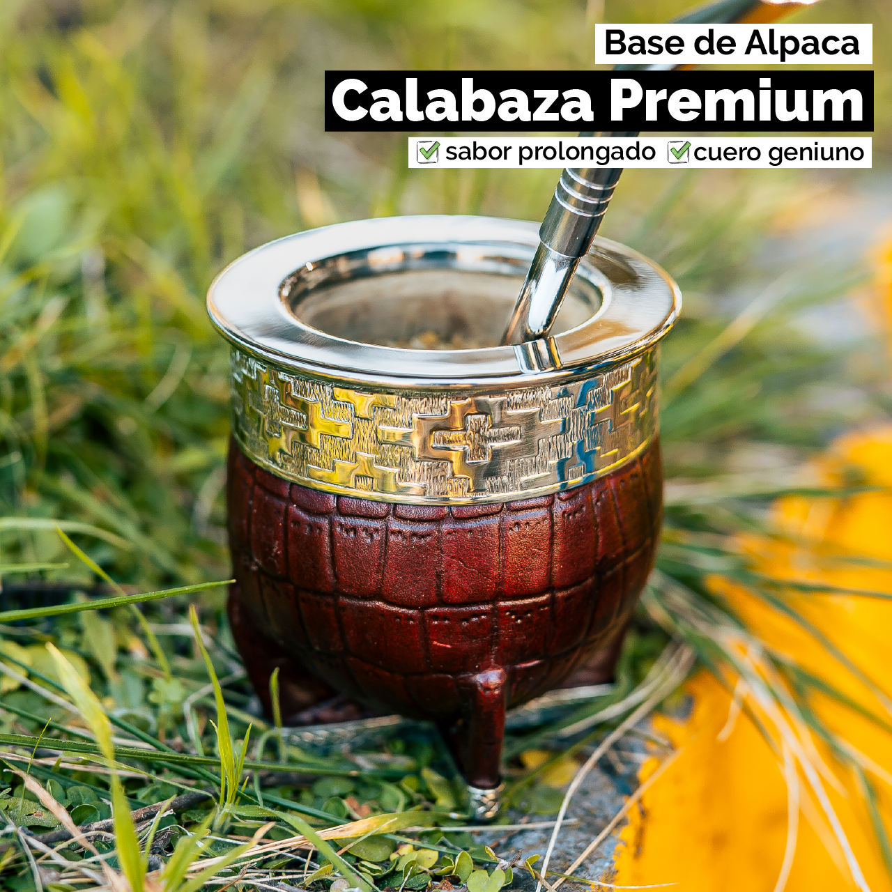 Mate Imperial (Calabaza) con Cuero Labado - Base y Virola de Alpaca